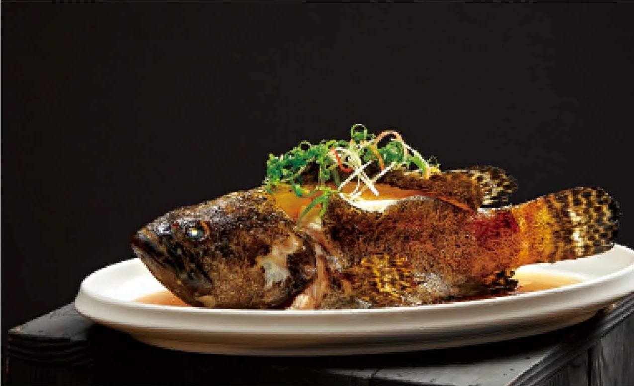 Steamed Banded Grouper